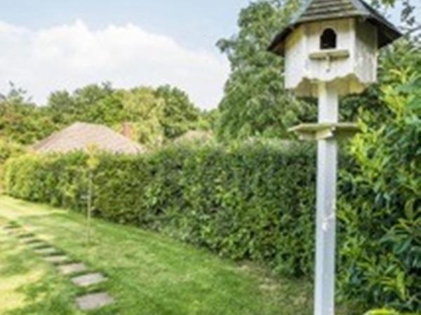 Knole B&B Sevenoaks Bagian luar foto